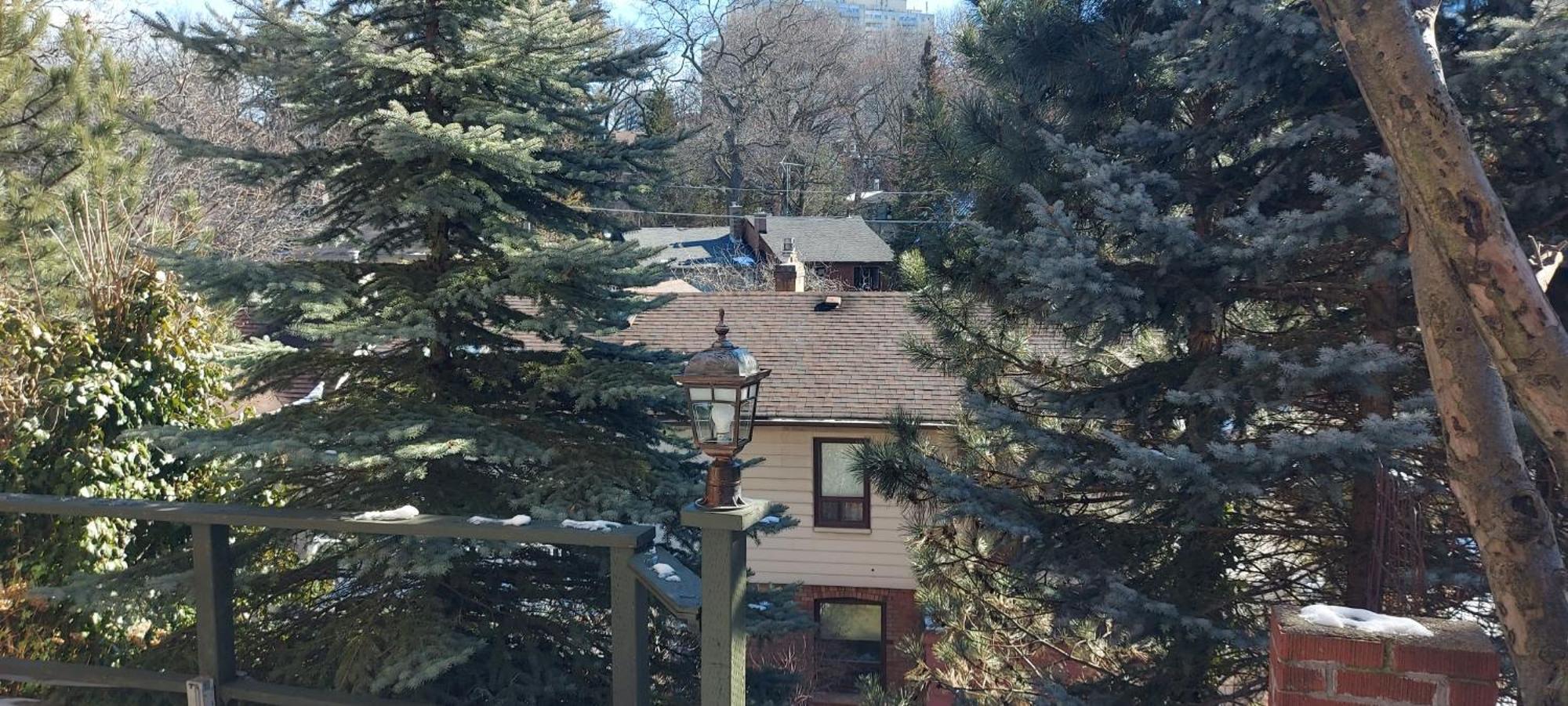 High Park Single Room With Personal Washroom And Kitchen โตรอนโต ภายนอก รูปภาพ