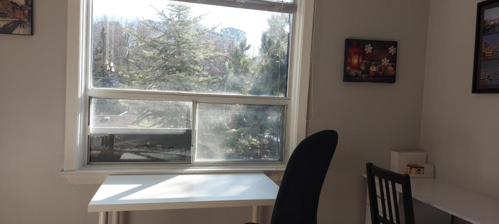 High Park Single Room With Personal Washroom And Kitchen โตรอนโต ภายนอก รูปภาพ